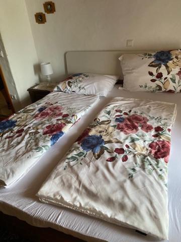 Apartma Jozica In Toncek Sveti Jurij ob Scavnici Bagian luar foto